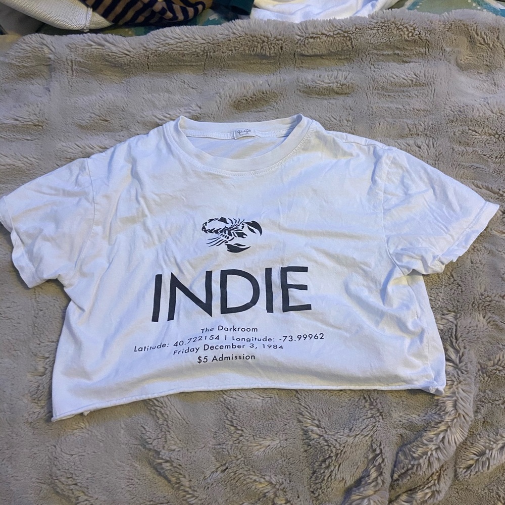 INDIE brandy Melville crop top